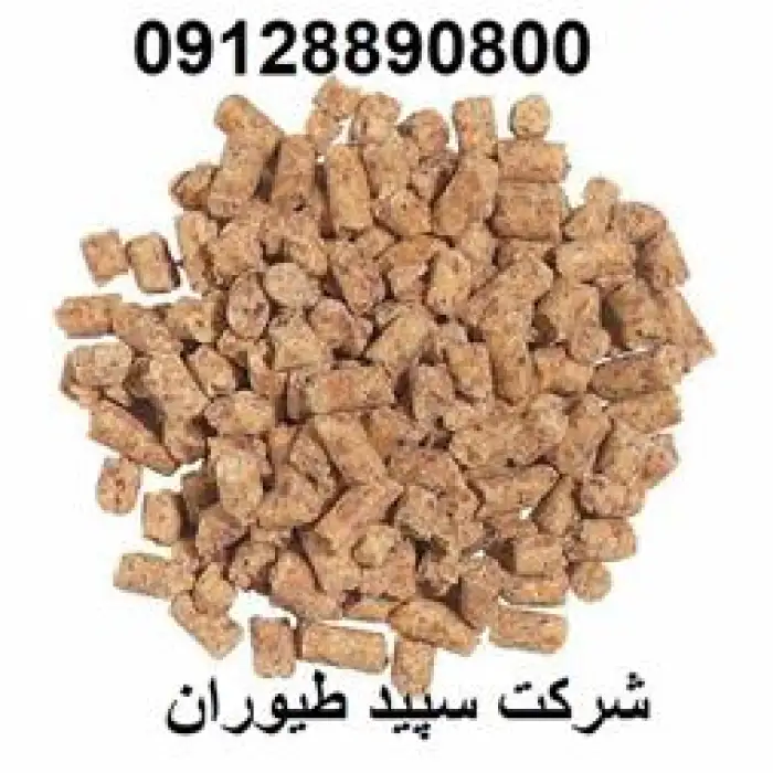 فروش عمده دان مرغ تخم گذار و جوجه یک روزه / طیور