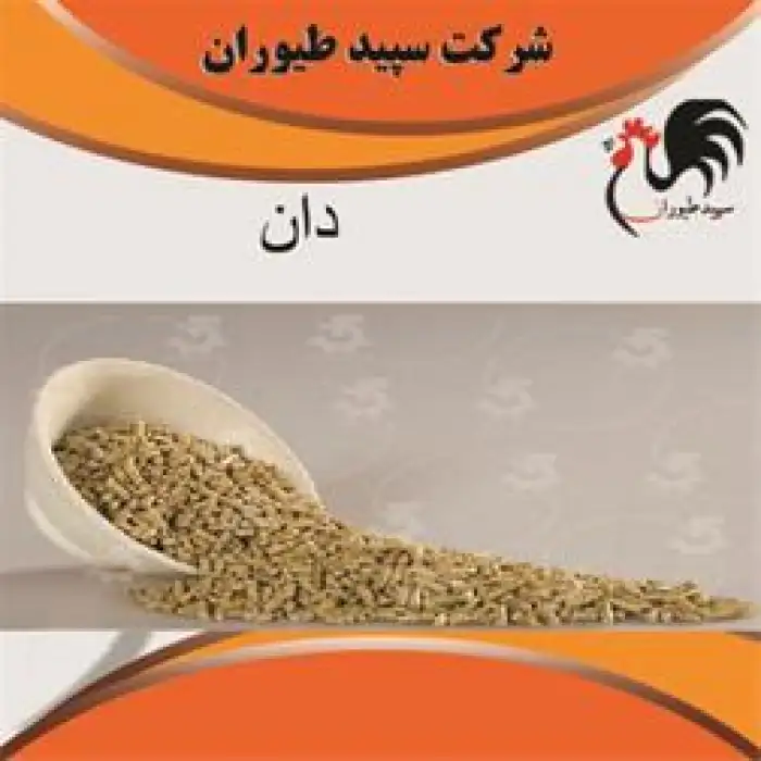 معرفی و فروش دان مرغ و طیور بومی با کیفیت بالا