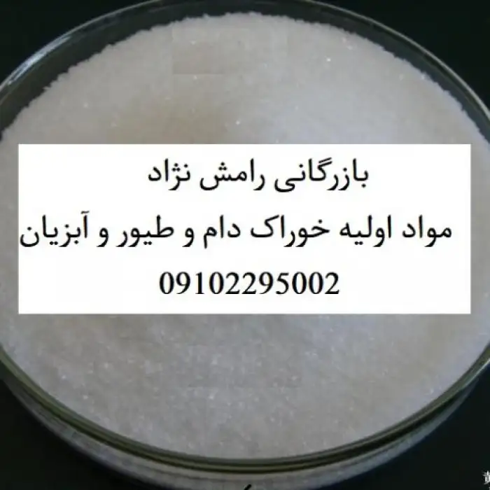 واردکننده مواد اولیه خوراک دام و طیور و آبزیان