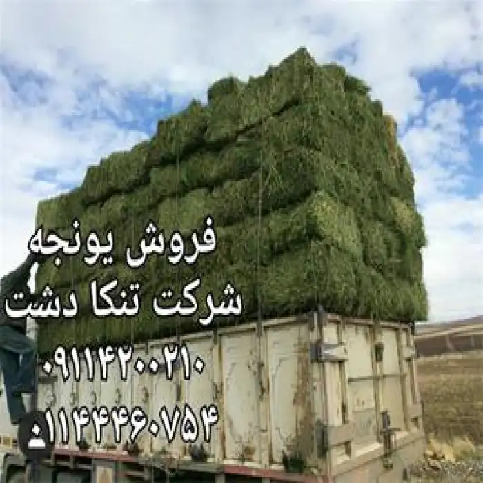 فروش یونجه