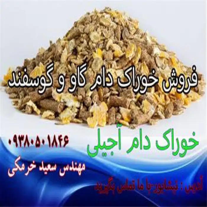 خوراک دام آجیلی