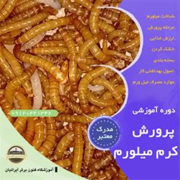 دوره آموزش  پرورش کرم میل ورم