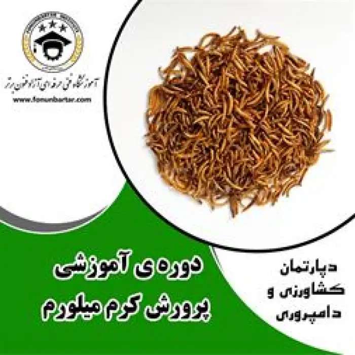 برگزاری دوره تخصصی پرورش کرم میل ورم