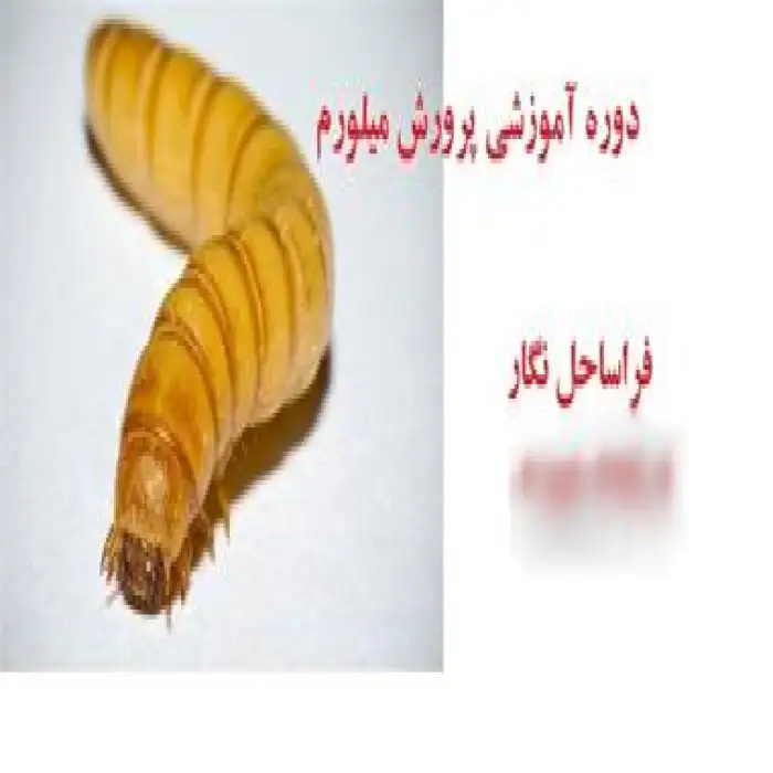 دوره آموزشی میل ورم یا Mealworm یا Meal worm