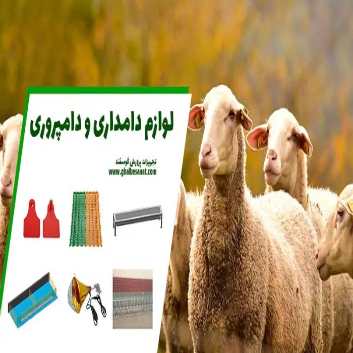 اوازم و تجهیزات مورد نیاز برای دامداری گوسفندی